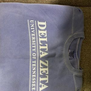Comfort Colors Delta Zeta University of Tennessee sweatshirt